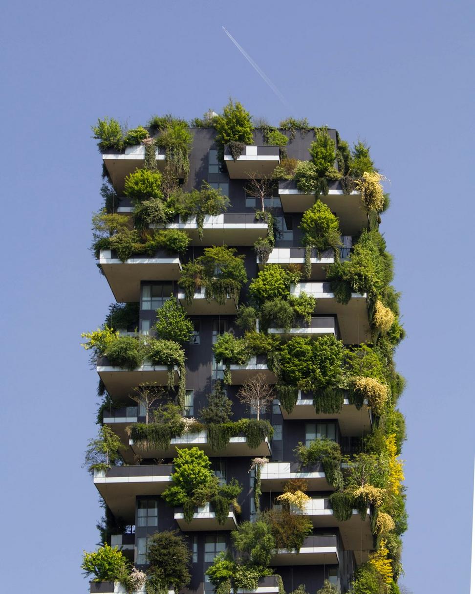 EcoVillage Complex