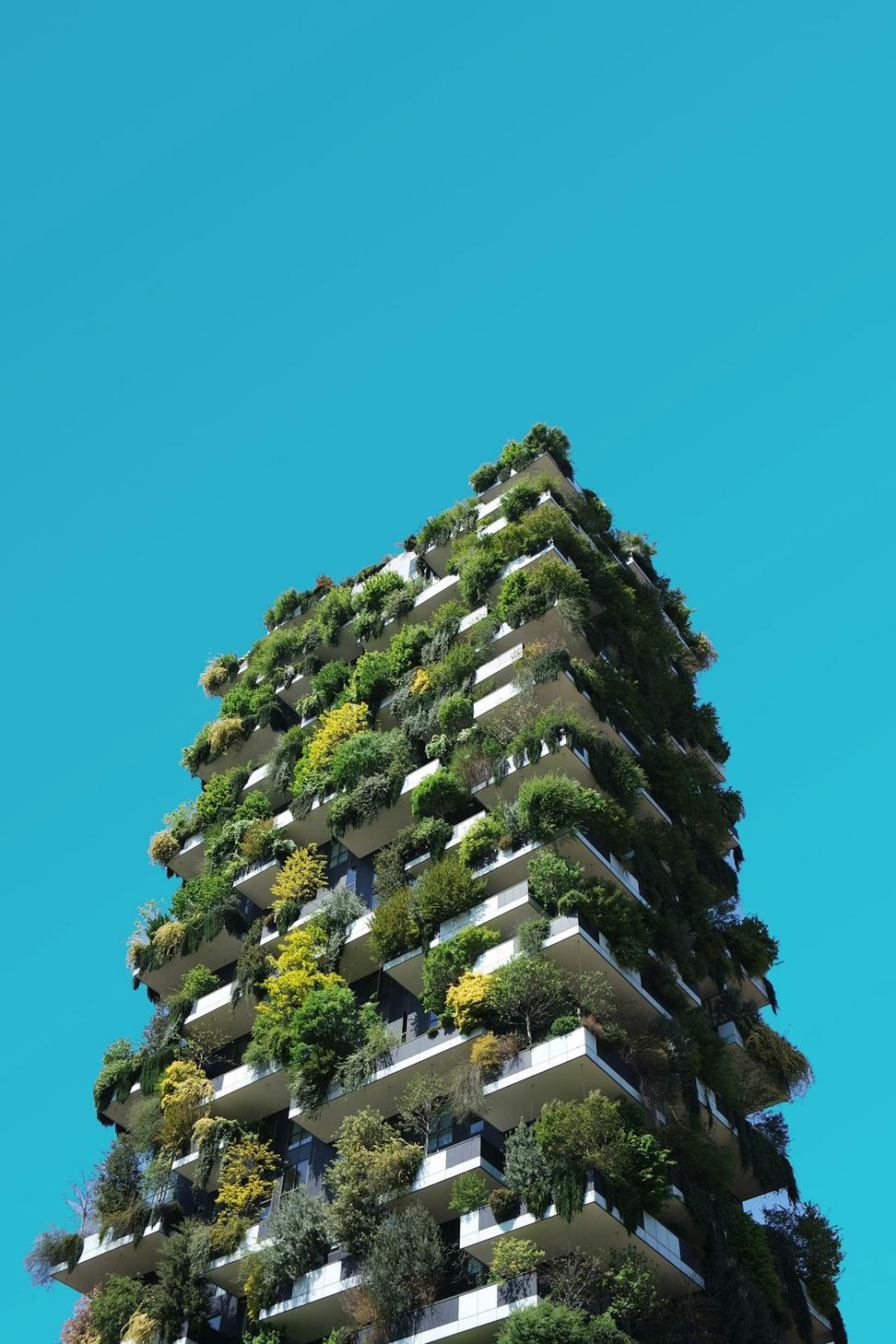 EcoVillage Complex